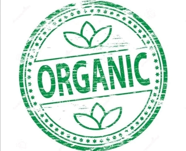Organic Zesty Lime Green